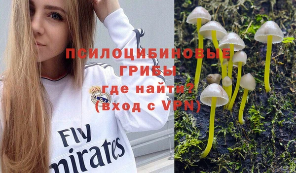 амф Богородск