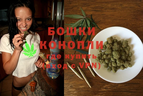 амф Богородск