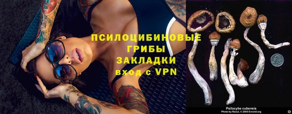 МДМА Богданович