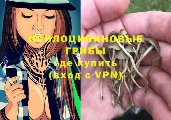 кокаин премиум Богородицк
