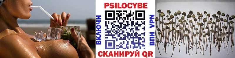 Псилоцибиновые грибы ЛСД  OMG рабочий сайт  Далматово  закладки 